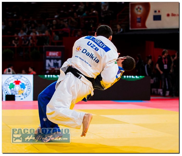 Paris 2014 by P.Lozano cat -90 kg_PLM2652